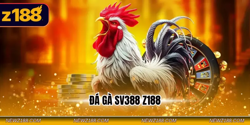 Đá gà SV388 Z188 – Sảnh Cá Cược Live Đỉnh Cao Siêu An Toàn 8 Đá gà SV388 Z188