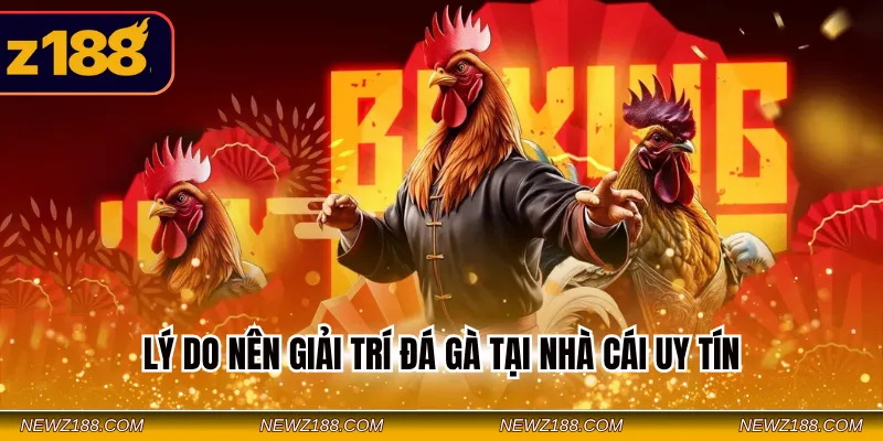 Nên Chơi Đá Gà Cựa Sắt, Cựa Dao Hay Gà Đòn Tại Nhà Cái Z188 3 Lý do nên giải trí đá gà tại nhà cái uy tín