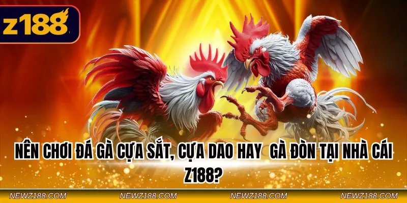 Nên Chơi Đá Gà Cựa Sắt, Cựa Dao Hay Gà Đòn Tại Nhà Cái Z188 6 Nên chơi đá gà cựa sắt, cựa dao hay gà đòn tại nhà cái Z188?