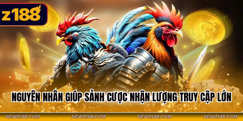 Đá gà SV388 Z188 – Sảnh Cá Cược Live Đỉnh Cao Siêu An Toàn 2 Nguyên nhân giúp sảnh cược nhận lượng truy cập lớn