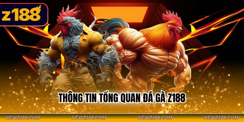 Đá Gà Z188 – Cập Nhật Full Trận Đấu Kịch Tính, Căng Thẳng 2 Thông tin tổng quan đá gà Z188