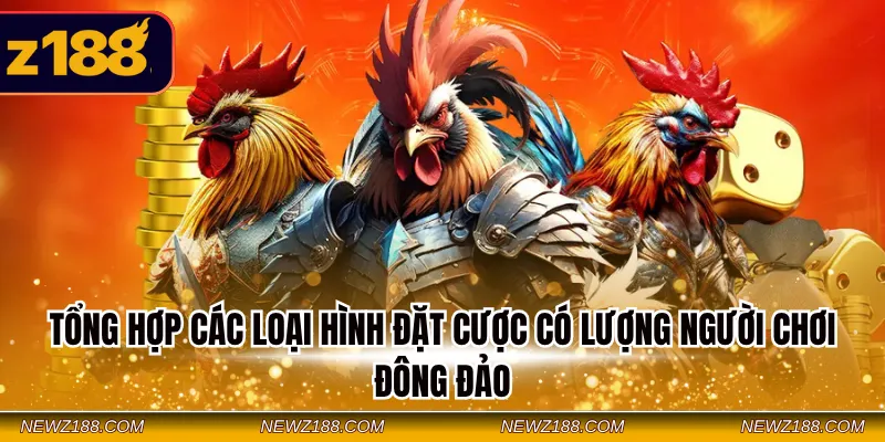 Đá gà SV388 Z188 – Sảnh Cá Cược Live Đỉnh Cao Siêu An Toàn 3 Tổng hợp các loại hình đặt cược có lượng người chơi đông đảo